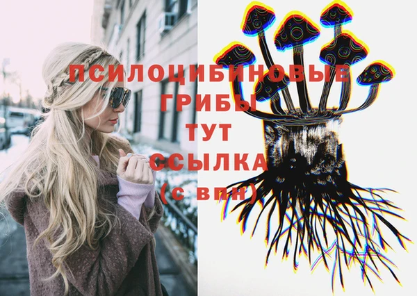 2c-b Нягань