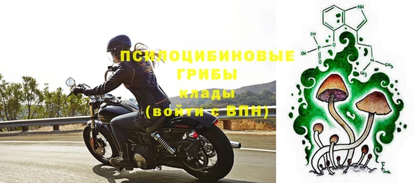 дмт Алзамай