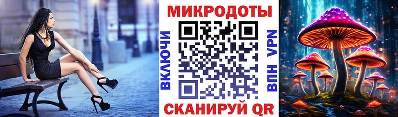 omg tor  Пущино  Галлюциногенные грибы ЛСД 