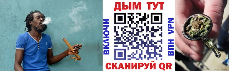Канабис сатива  Пущино 